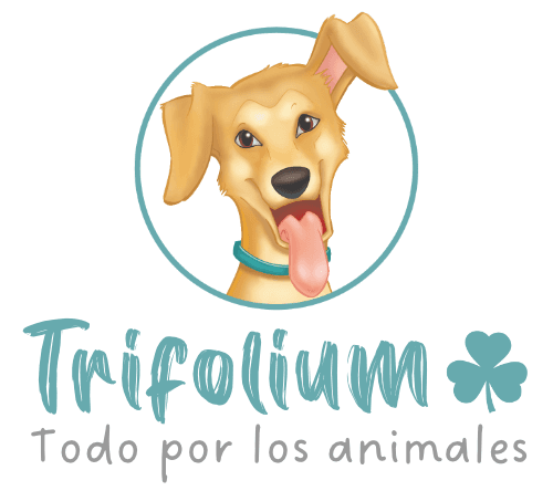 Fundación Trifolium